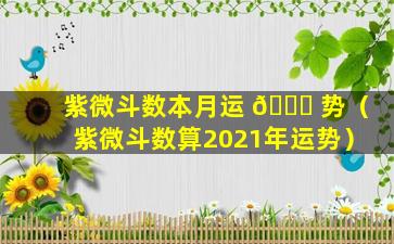 紫微斗数本月运 🐎 势（紫微斗数算2021年运势）